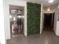 Под наем 2-СТАЕН, град Варна, Левски 1 • 1000 лв. • 48962929 — Holmes.bg