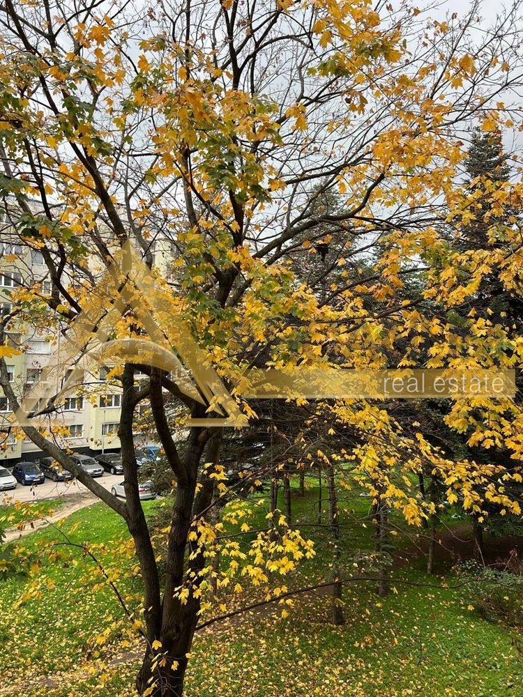 ���� ��� ���� 3-����� | Imot.bg � ����������� 10