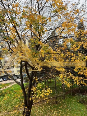 ���� ��� ���� 3-����� | Imot.bg � ����� ������ 10