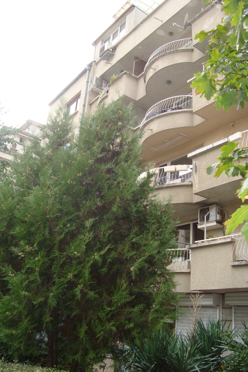 Дава под наем  Мезонет град София , Гео Милев , 75 кв.м | 81307903 - изображение [16]