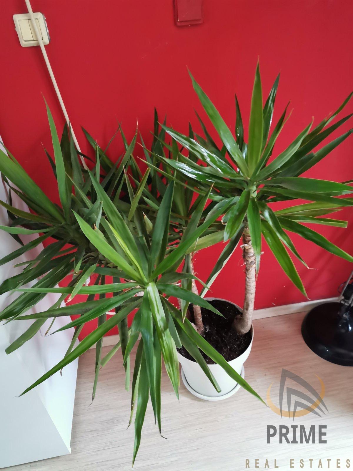 ���� ��� ���� 3-����� | Imot.bg � ����������� 3