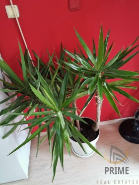 ���� ��� ���� 3-����� | Imot.bg � ����� ������ 3