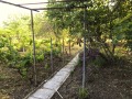 Под наем КЪЩА, град Варна, м-т Сотира • 440 € • 19102307 — Holmes.bg