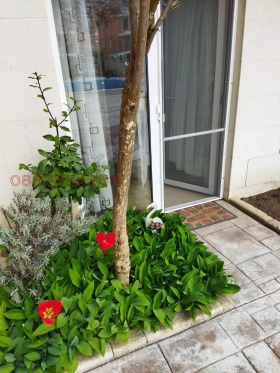 ���� ��� ���� 2-����� | Imot.bg � ����� ������ 9