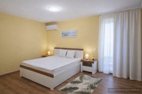 ����� ���� ��� ���� 3-�����,���� �����, ������� 1