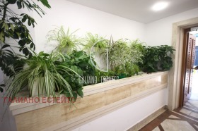 ���� ��� ���� 1-����� | Imot.bg � ����� ������ 6