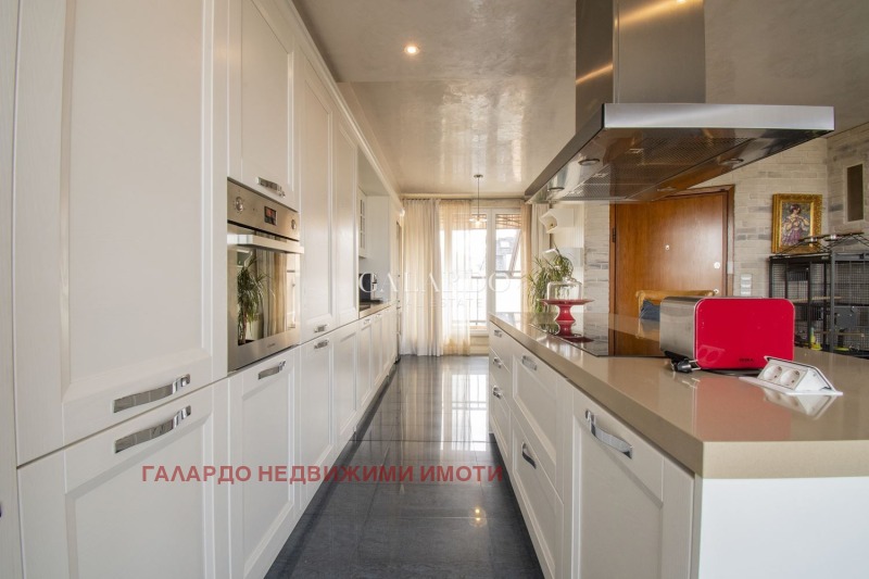 Дава под наем  Многостаен град София , Стрелбище , 250 кв.м | 40528800 - изображение [3]