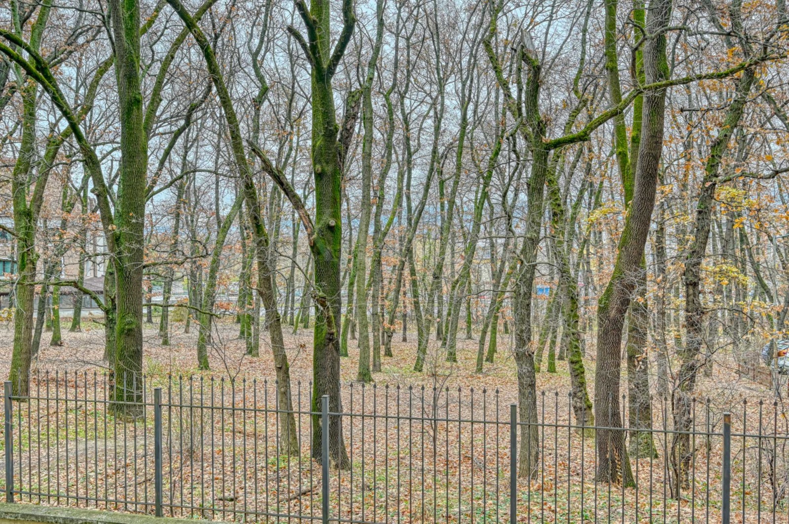 Дава под наем 3-СТАЕН, гр. София, Лозенец, снимка 17 - Апартаменти - 54037877