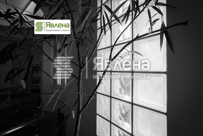 K pronájmu  Kancelář Sofia , Centar , 75 m2 | 80195557 - obraz [13]