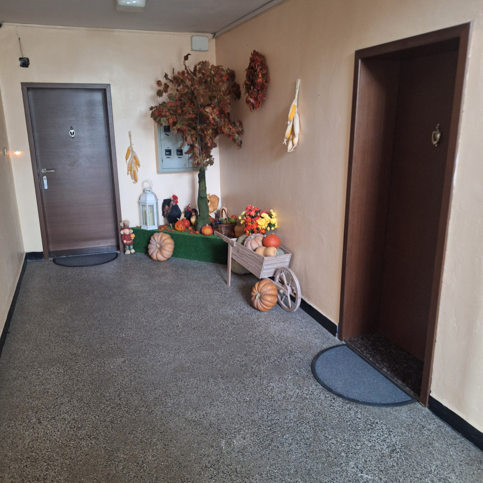 ���� ��� ���� 3-����� | Imot.bg � ����������� 13