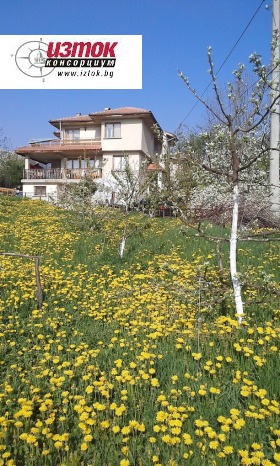 Casa Bistrița, Sofia 2