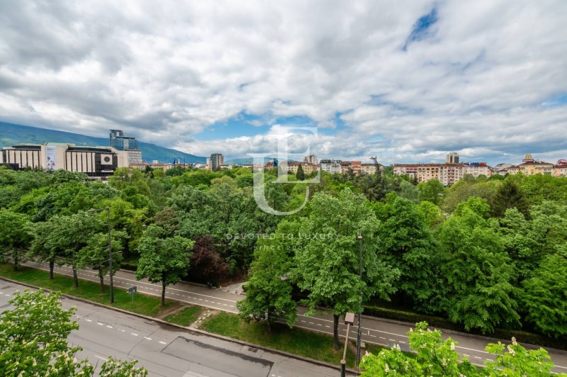 K pronájmu  Kancelář Sofia , Centar , 300 m2 | 31028127