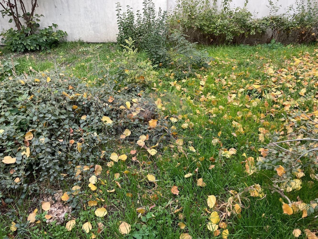 Дава под наем КЪЩА, гр. София, Център, снимка 17 - Къщи - 55512720