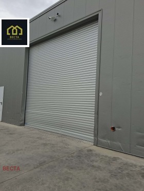 ����� ���� ��� ���� �����,���� �����, �������