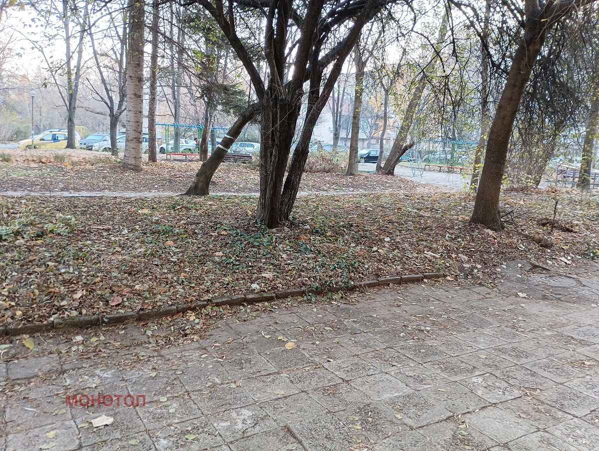 ���� ��� ���� 2-����� | Imot.bg � ����������� 17