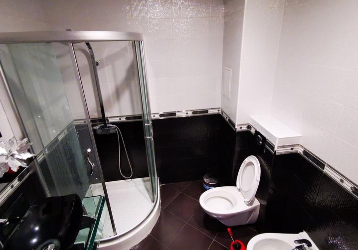 Do wynajęcia  Domek Sofia , Dianabad , 201 mkw | 71667784 - obraz [8]